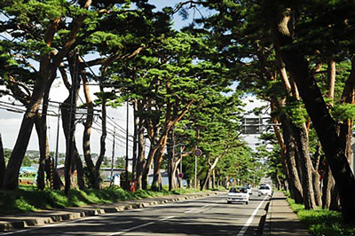 Akamatsu Highway