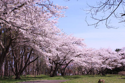 Oniushi Park