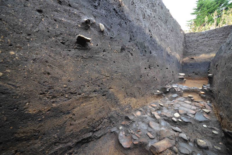 Kakinoshima Site